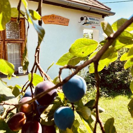 Ubytovanie U Aranky Cierna nad Tisou Extérieur photo