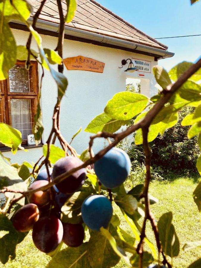 Ubytovanie U Aranky Cierna nad Tisou Extérieur photo